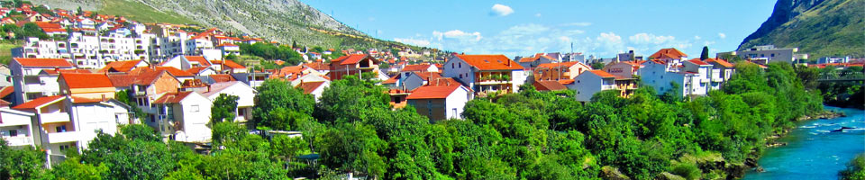 Prevajanje bosanščine v druge jezike
